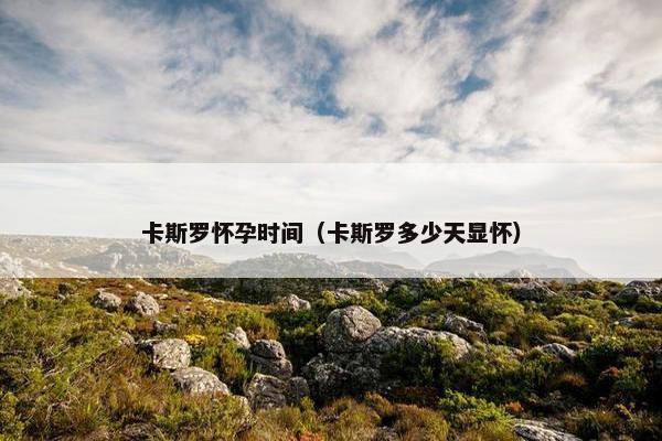 卡斯罗怀孕时间（卡斯罗多少天显怀）