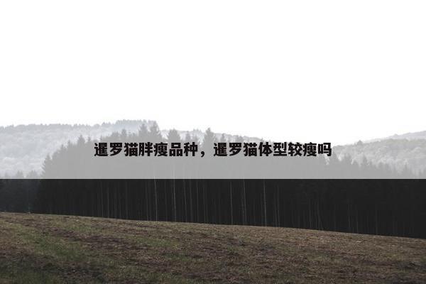 暹罗猫胖瘦品种，暹罗猫体型较瘦吗