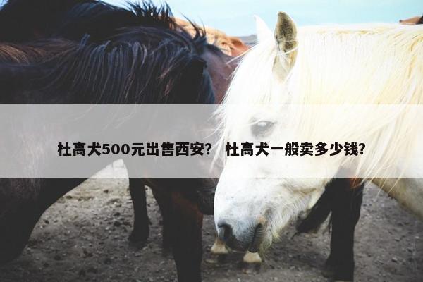 杜高犬500元出售西安？ 杜高犬一般卖多少钱？