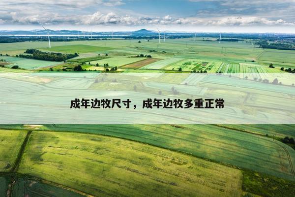 成年边牧尺寸，成年边牧多重正常