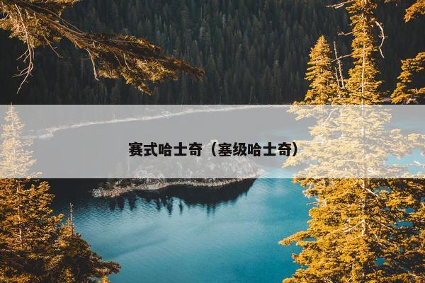赛式哈士奇（塞级哈士奇）