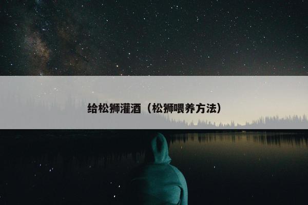 给松狮灌酒（松狮喂养方法）