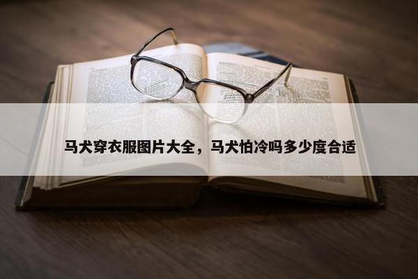 马犬穿衣服图片大全，马犬怕冷吗多少度合适