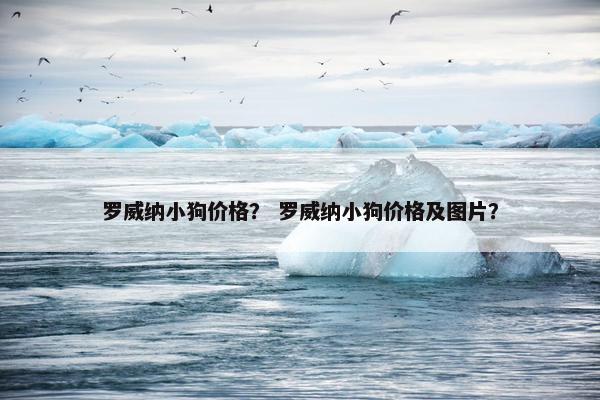 罗威纳小狗价格？ 罗威纳小狗价格及图片？