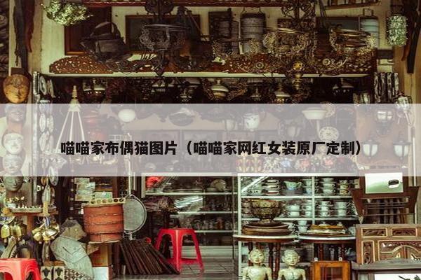 喵喵家布偶猫图片（喵喵家网红女装原厂定制）