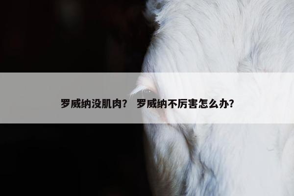 罗威纳没肌肉？ 罗威纳不厉害怎么办？