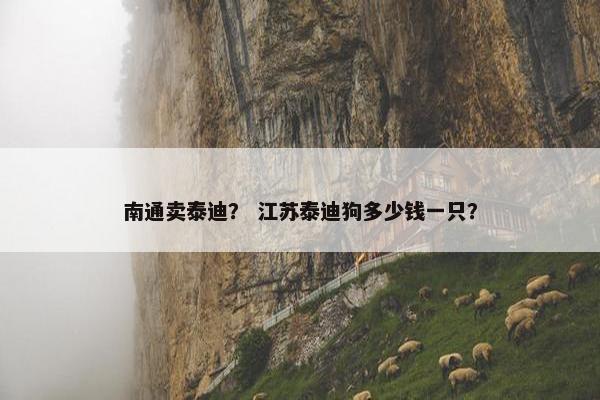 南通卖泰迪？ 江苏泰迪狗多少钱一只？