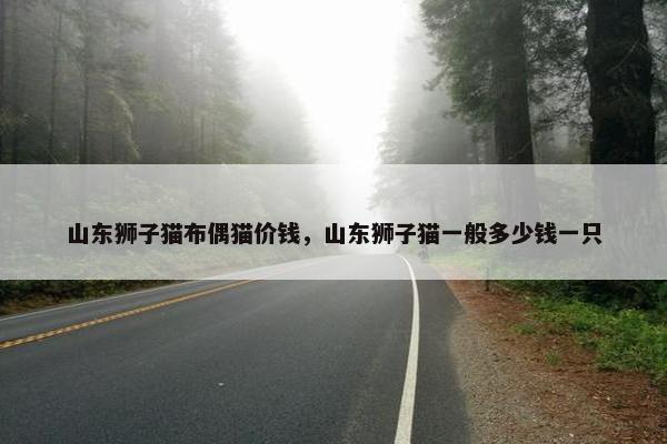山东狮子猫布偶猫价钱，山东狮子猫一般多少钱一只