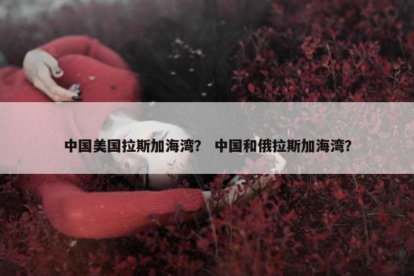 中国美国拉斯加海湾？ 中国和俄拉斯加海湾？