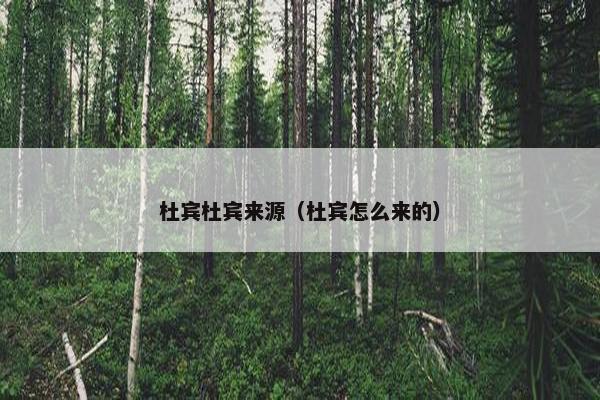 杜宾杜宾来源（杜宾怎么来的）