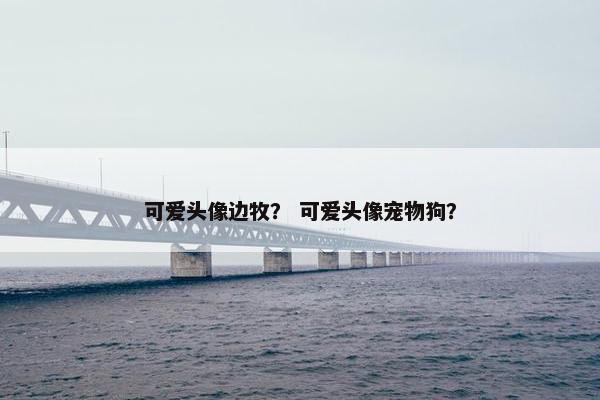 可爱头像边牧？ 可爱头像宠物狗？