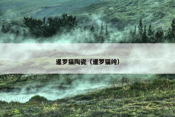 暹罗猫陶瓷（暹罗猫纯）