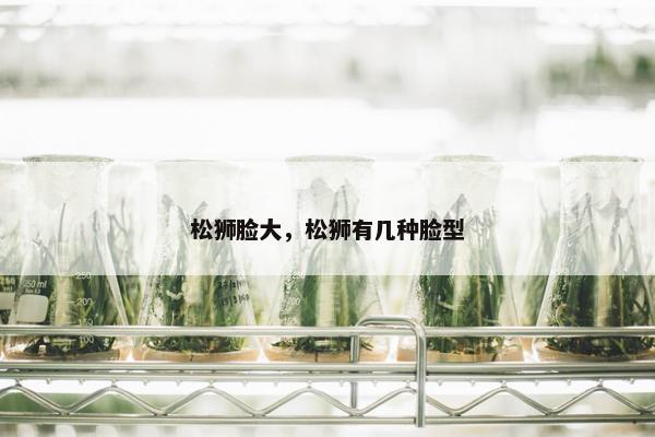 松狮脸大，松狮有几种脸型