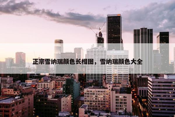 正宗雪纳瑞颜色长相图，雪纳瑞颜色大全