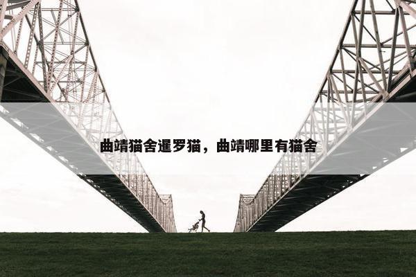 曲靖猫舍暹罗猫，曲靖哪里有猫舍
