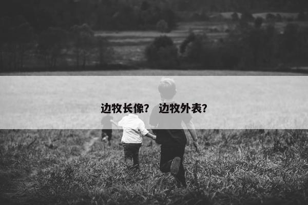 边牧长像？ 边牧外表？