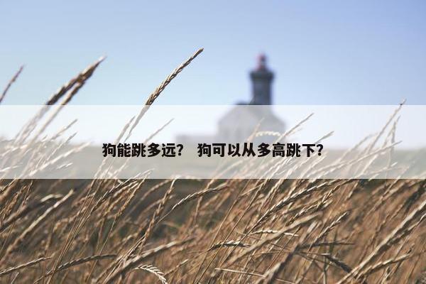 狗能跳多远？ 狗可以从多高跳下？