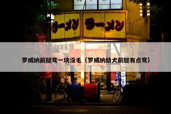 罗威纳前腿弯一块没毛（罗威纳幼犬前腿有点弯）