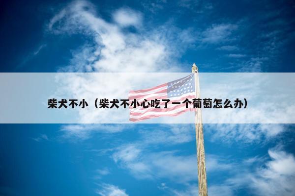 柴犬不小（柴犬不小心吃了一个葡萄怎么办）