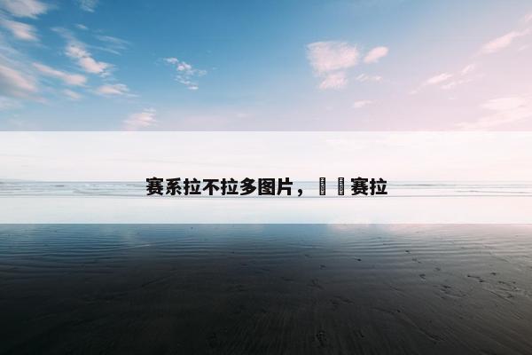 赛系拉不拉多图片，새라赛拉