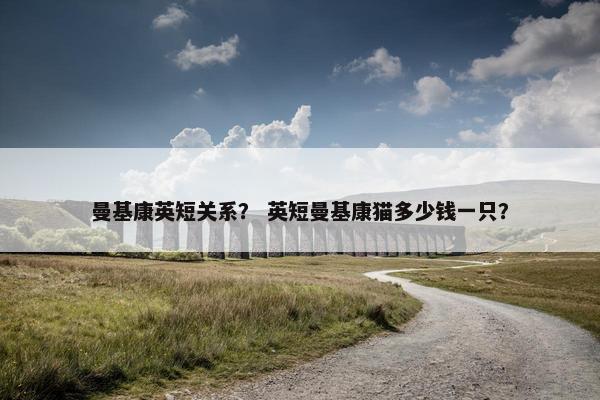 曼基康英短关系？ 英短曼基康猫多少钱一只？
