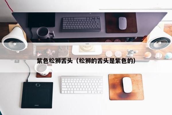 紫色松狮舌头（松狮的舌头是紫色的）
