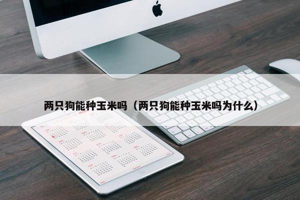 两只狗能种玉米吗（两只狗能种玉米吗为什么）