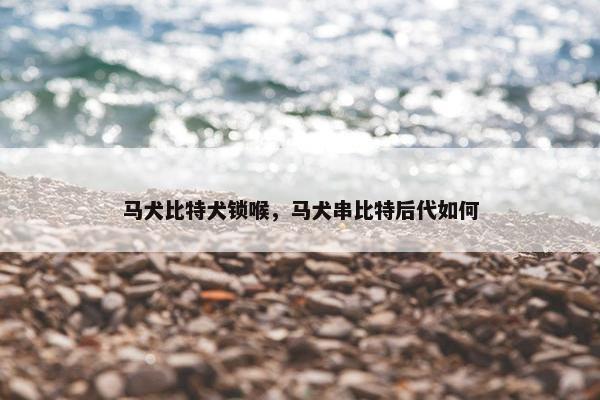 马犬比特犬锁喉，马犬串比特后代如何