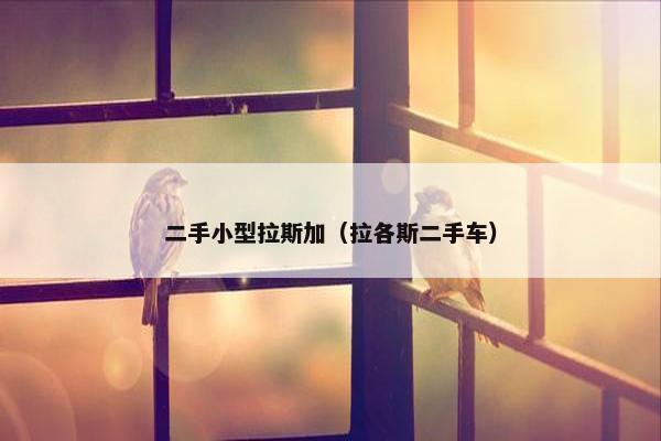 二手小型拉斯加（拉各斯二手车）