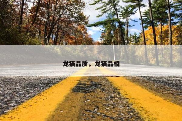 龙猫品质，龙猫品相