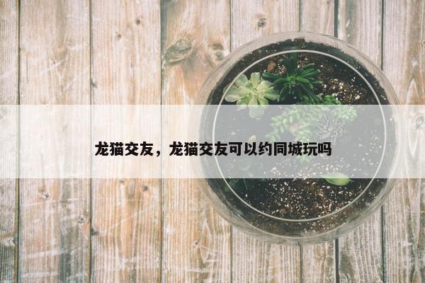 龙猫交友，龙猫交友可以约同城玩吗