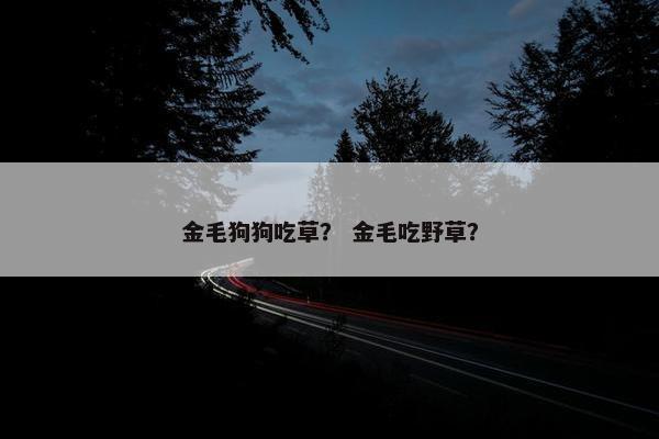 金毛狗狗吃草？ 金毛吃野草？