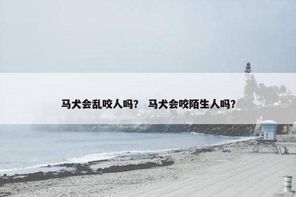马犬会乱咬人吗？ 马犬会咬陌生人吗？