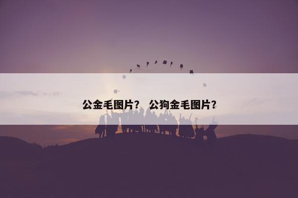 公金毛图片？ 公狗金毛图片？