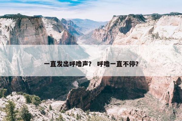 一直发出呼噜声？ 呼噜一直不停？