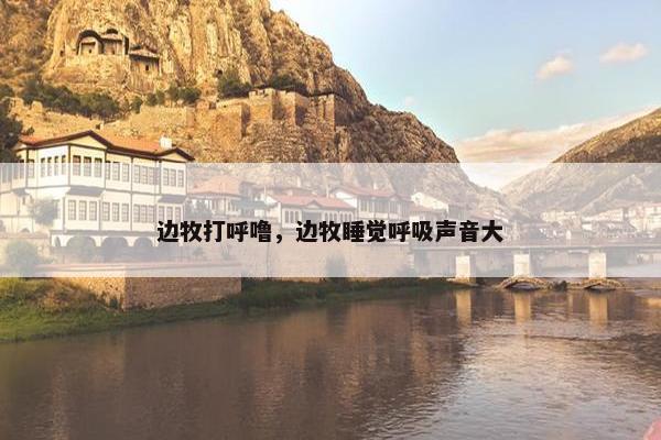 边牧打呼噜，边牧睡觉呼吸声音大