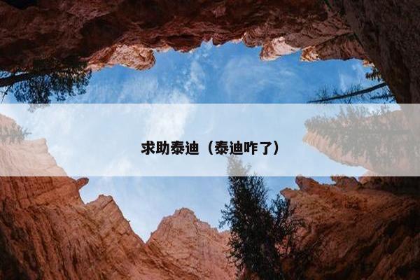 求助泰迪（泰迪咋了）