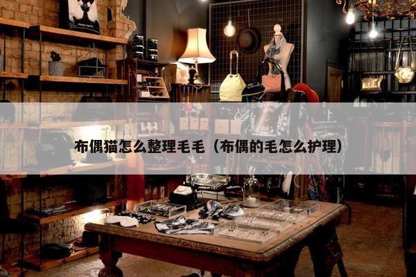 布偶猫怎么整理毛毛（布偶的毛怎么护理）