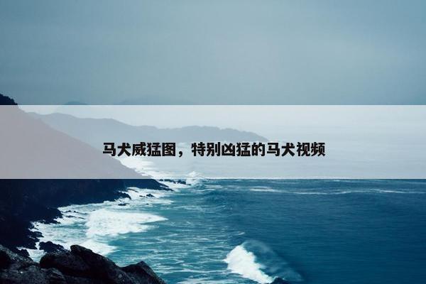 马犬威猛图，特别凶猛的马犬视频