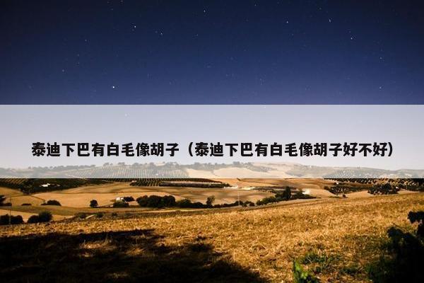 泰迪下巴有白毛像胡子（泰迪下巴有白毛像胡子好不好）