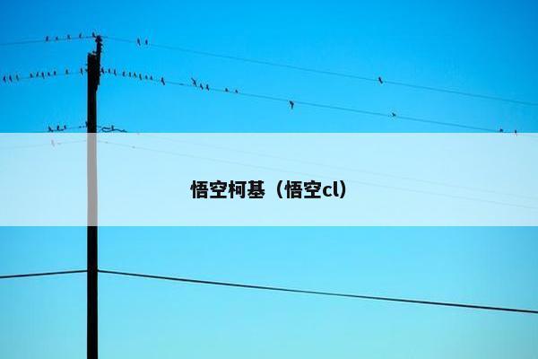 悟空柯基（悟空cl）