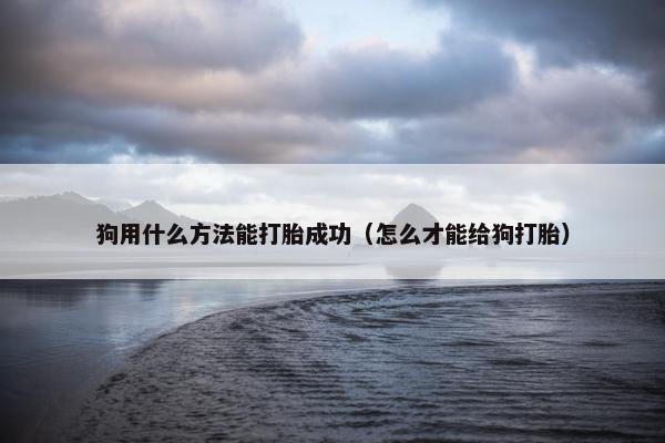 狗用什么方法能打胎成功（怎么才能给狗打胎）