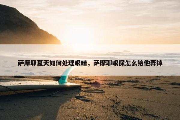 萨摩耶夏天如何处理眼睛，萨摩耶眼屎怎么给他弄掉