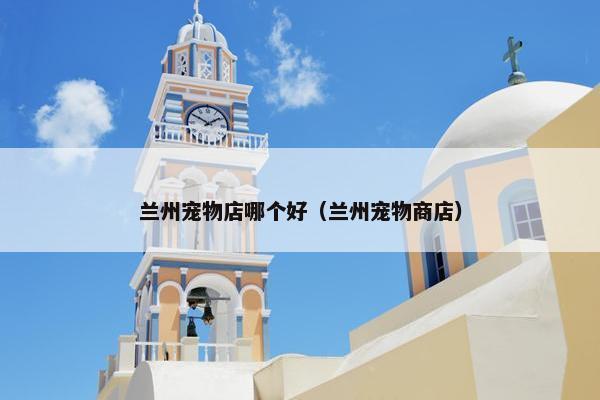 兰州宠物店哪个好（兰州宠物商店）