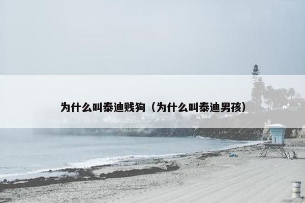 为什么叫泰迪贱狗（为什么叫泰迪男孩）