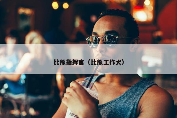 比熊指挥官（比熊工作犬）