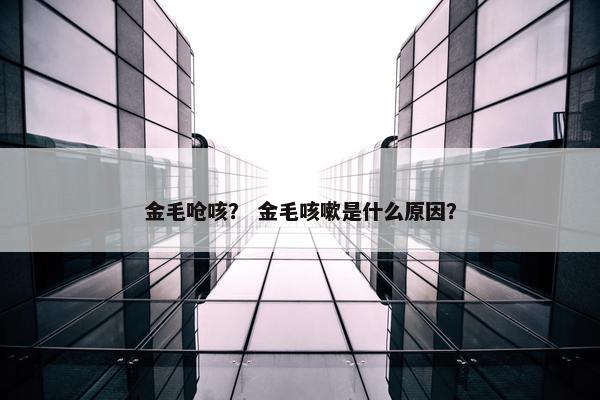 金毛呛咳？ 金毛咳嗽是什么原因？