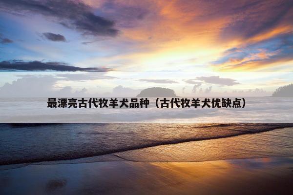 最漂亮古代牧羊犬品种（古代牧羊犬优缺点）