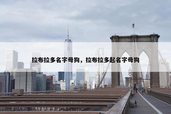 拉布拉多名字母狗，拉布拉多起名字母狗