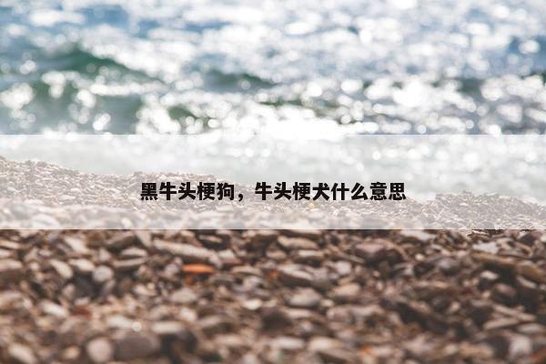 黑牛头梗狗，牛头梗犬什么意思
